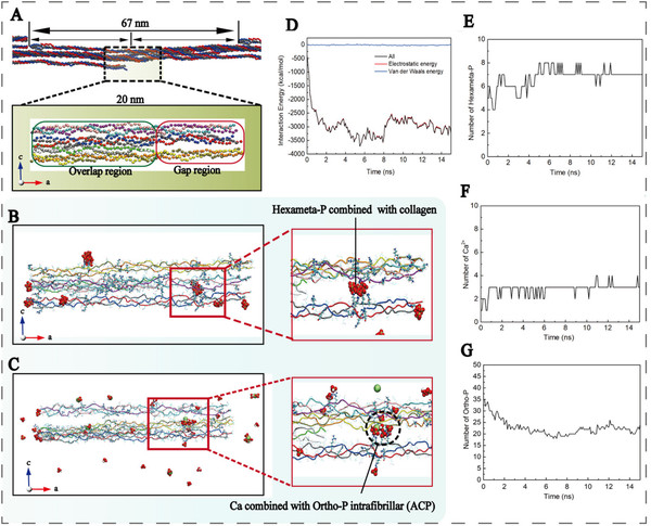 adfm73587-fig-0006-m.jpg